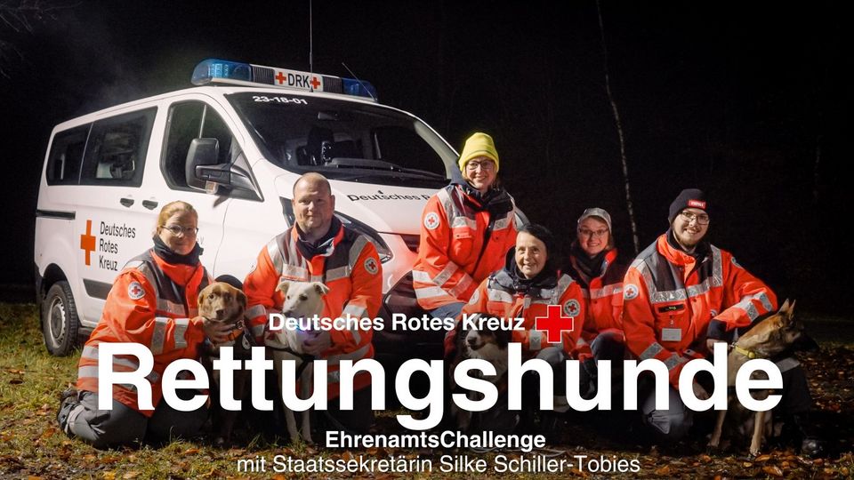 Sechs Menschen in orangefarbenen DRK-Einsatzjacken hocken vor einem weißen DRK-Bus. Zwischen ihnen sitzen Hunde.