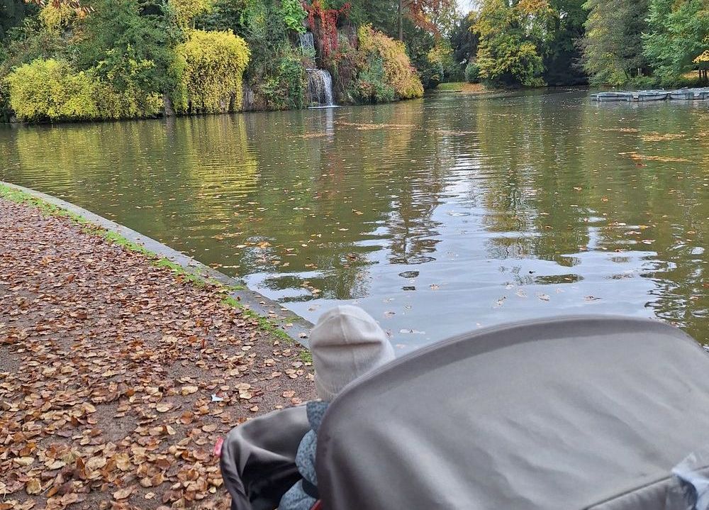 Blick über einen Kinderwagen auf einen großen Teich.