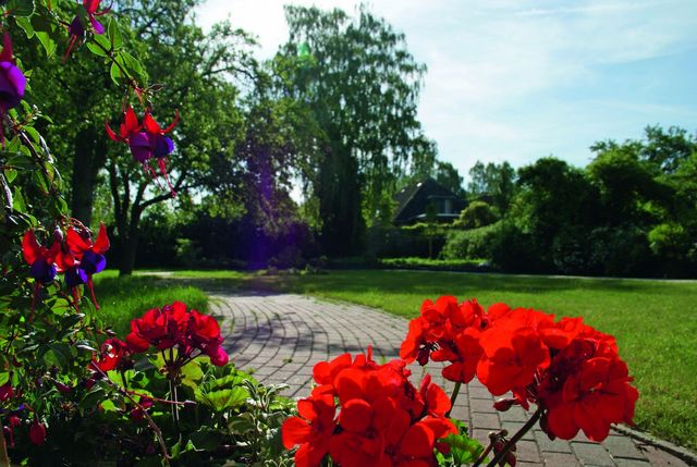 Blumen im Park